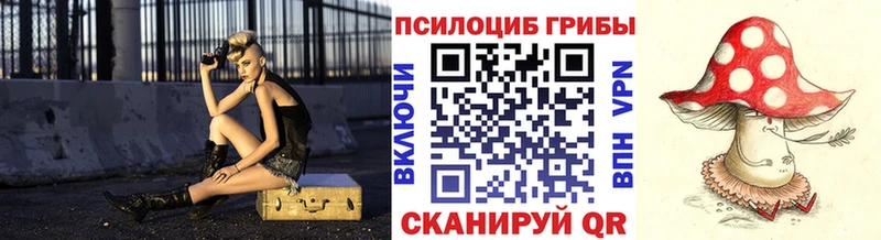 Купить где  Алушта  Псилоцибиновые грибы MAGIC MUSHROOMS 